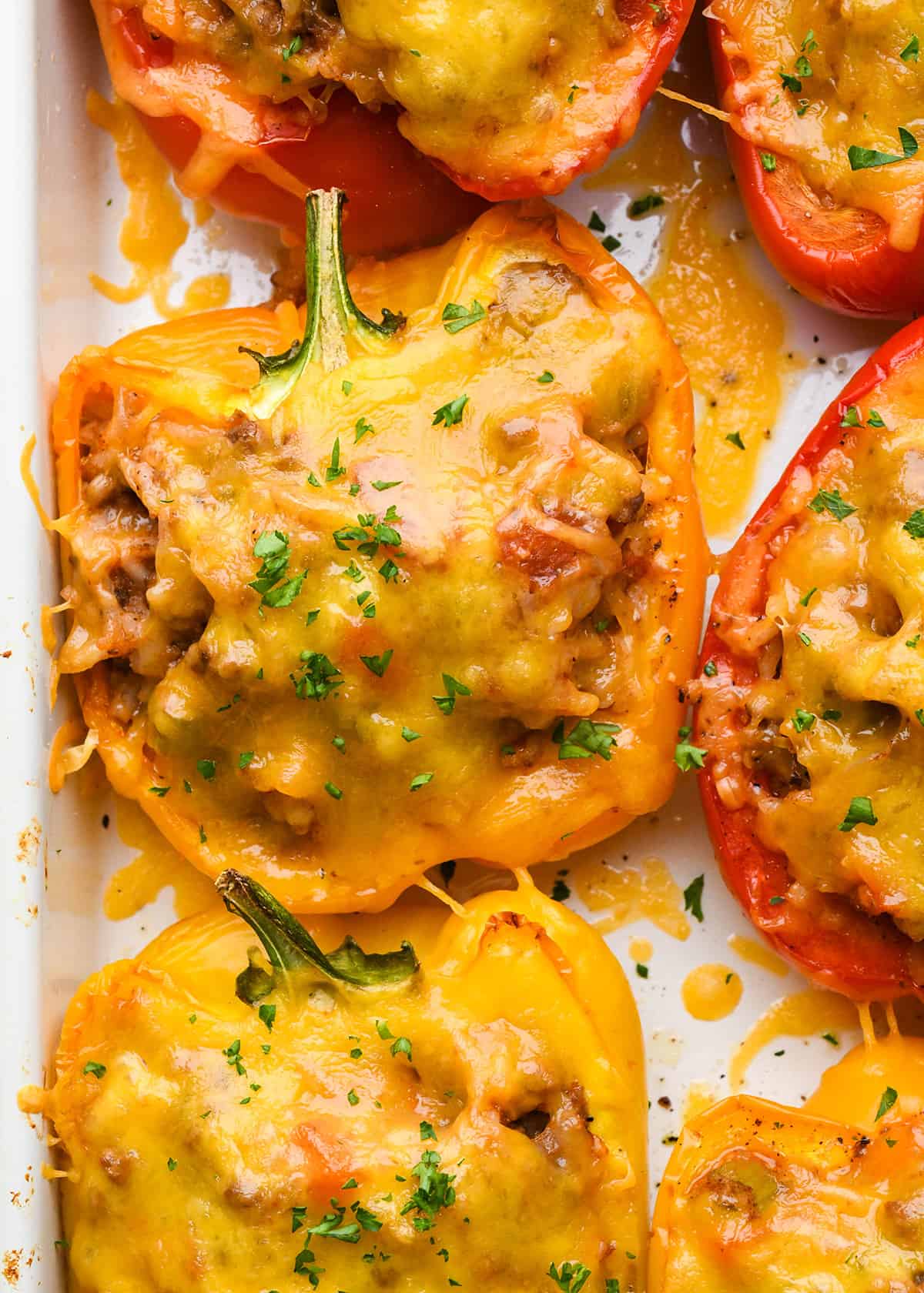 6 Stuffed Peppers in a baking dish after baking