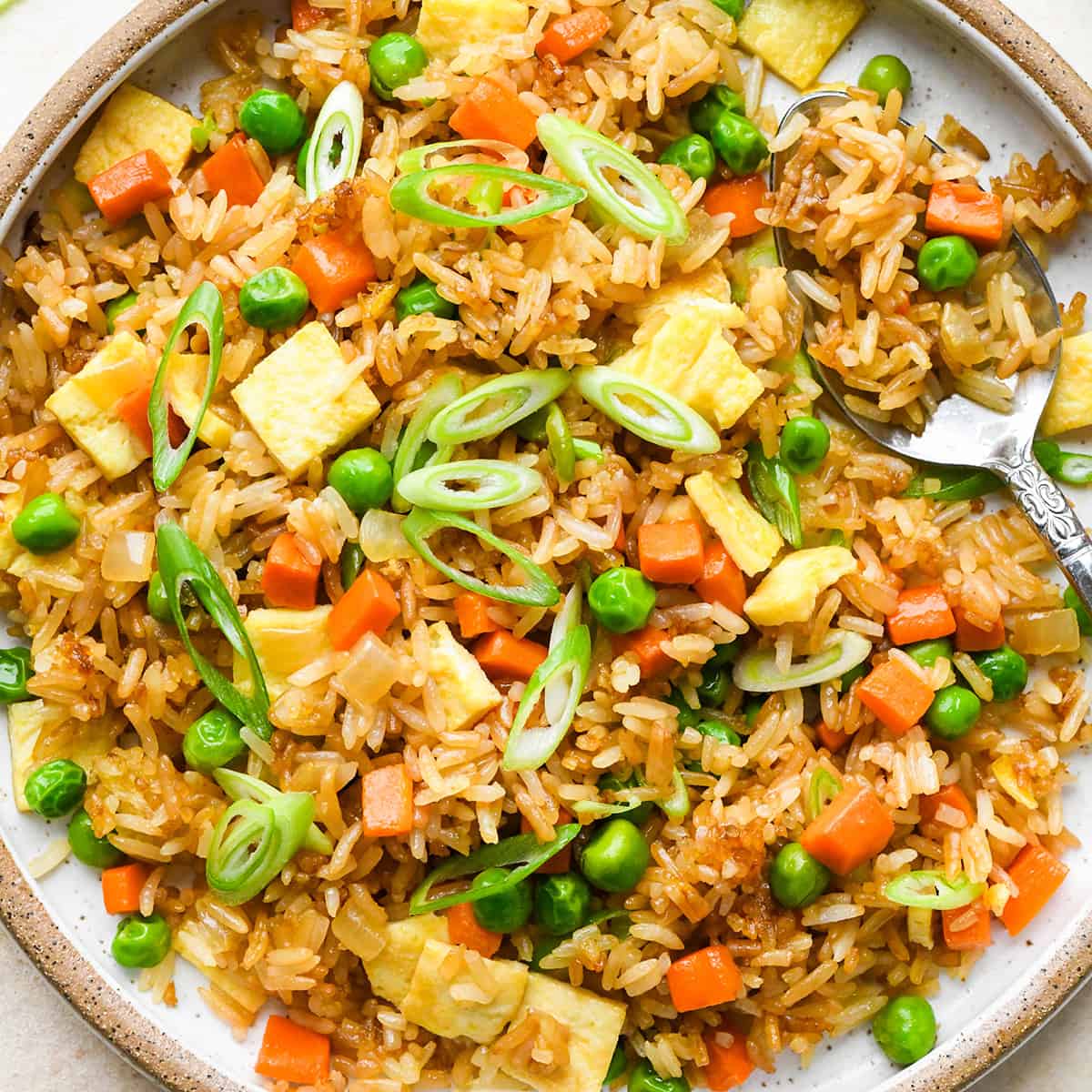 fried rice on a plate with a spoon, garnished with green onions. 