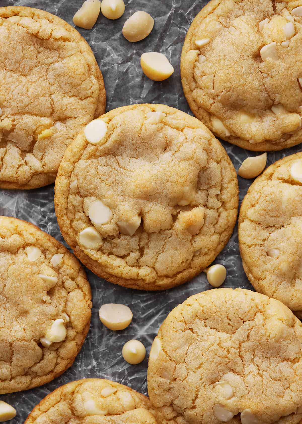 overhead view of 6 White Chocolate Macadamia Nut Cookies